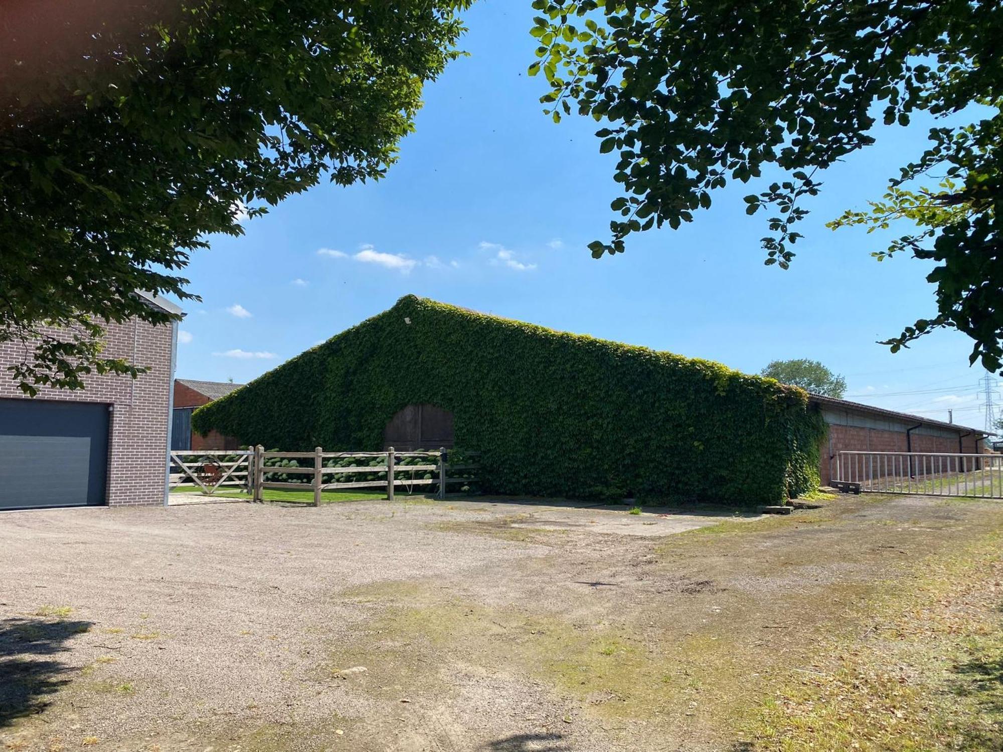 B&B De Vlierbeek ซินท์-นิคลาส ภายนอก รูปภาพ