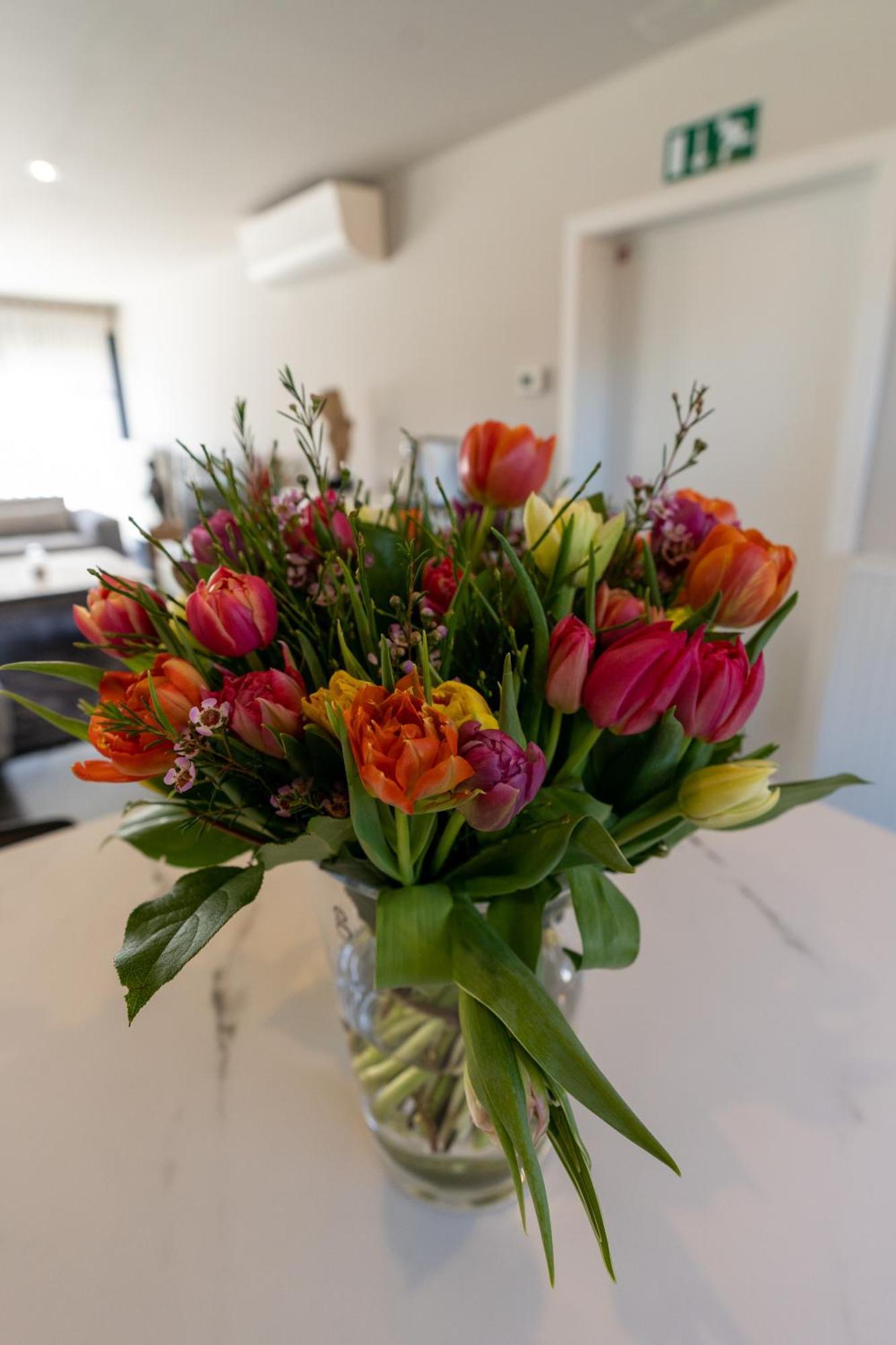 B&B De Vlierbeek ซินท์-นิคลาส ภายนอก รูปภาพ